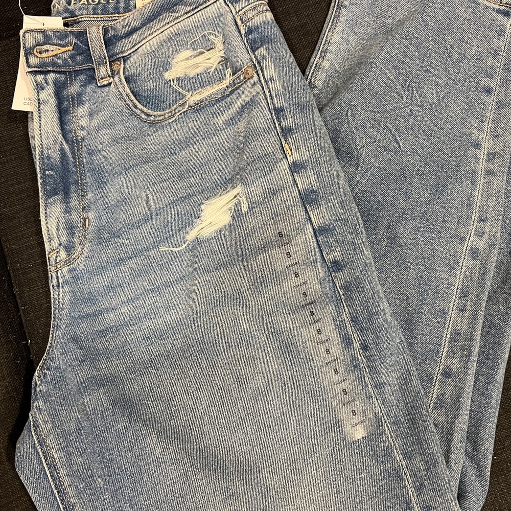 American Eagle Outfitters Light Blue Distressed Skinny Jeans